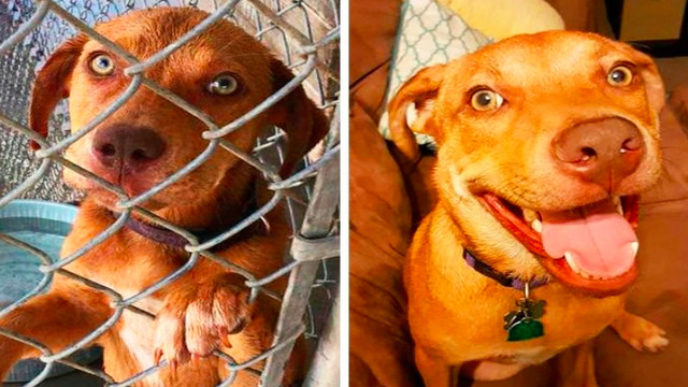 Sni mka obrazovky 2018 08 28 oa16.30.50.jpg