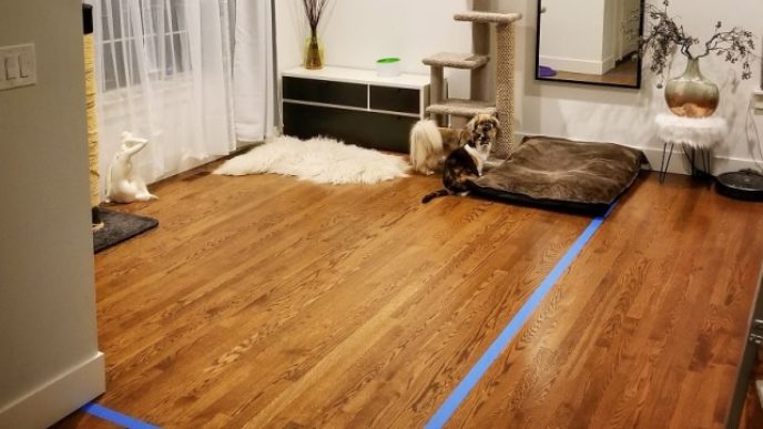 20180206_204324 01 5b85f3966e46e jpeg__880.jpg