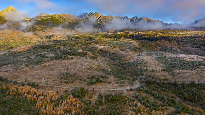 Tatry_lesy_nov2020_fullres_003.jpg