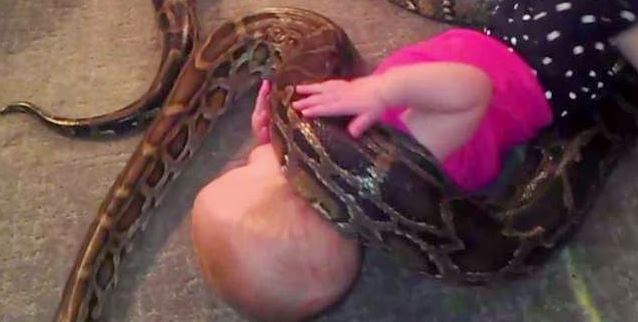 had a dieťa