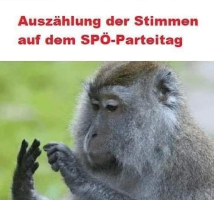 SPÖ odvolala pre počítačovú chybu výsledky hlasovania o lídrovi strany