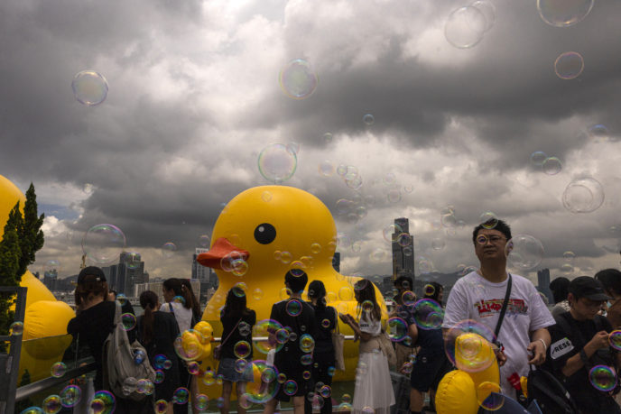 Obrovské kačky v Hongkongu