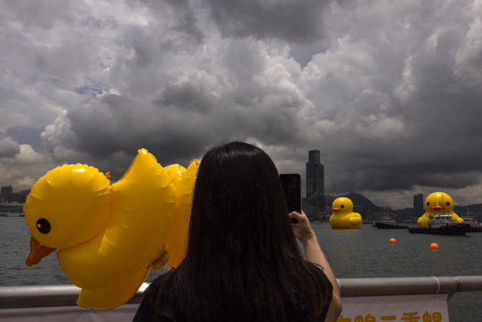 Obrovské kačky v Hongkongu