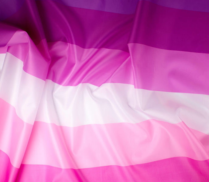 Lesbická vlajka, jej história a význam
