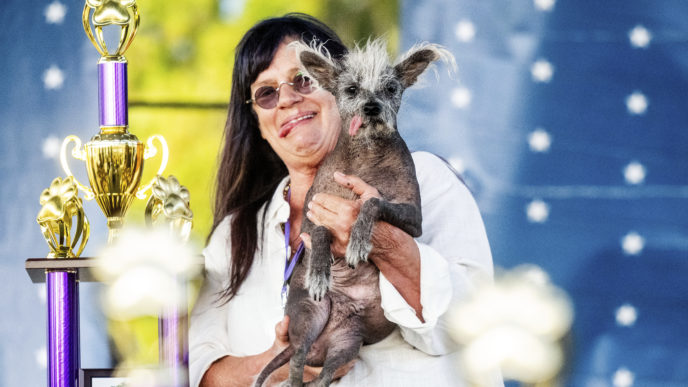 Scooter, najškaredší pes na svete, Ugly Dog Contest