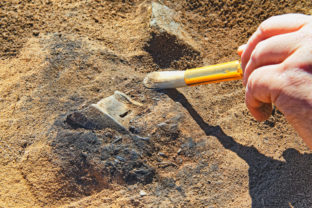 A rare archeological find from the Iron Age
