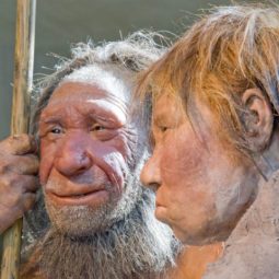Germany Neanderthal Dating