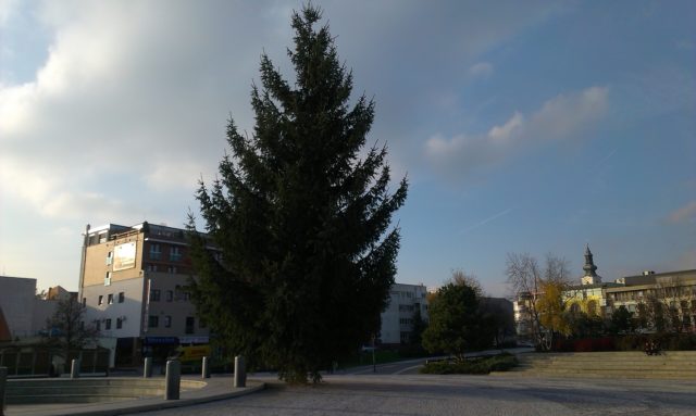 námestie, vianočný stromček