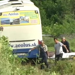 NEHODA: V Srbsku havaroval autobus