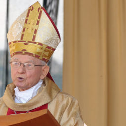 Dominik Hrušovský, arcibiskup