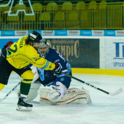 HK Nitra, MsHK Žilina, hokej, play off