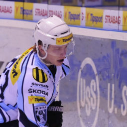Daniel Štumpf, HK Nitra, hokej