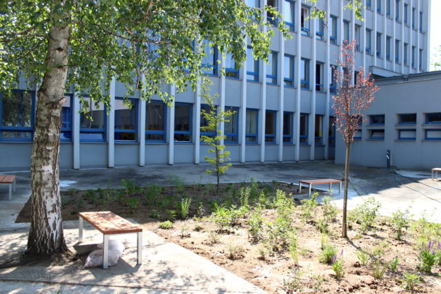 Studentska_zahrada_gymnazium_na_parovskej_7.jpg