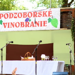 Podzoborske vinobranie 2017 12.jpg