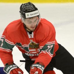 Karol Csányi, hokej, HK Nitra