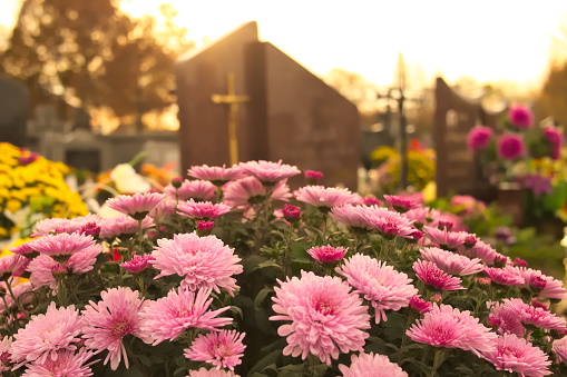 Flowers on a grave at cemetery
