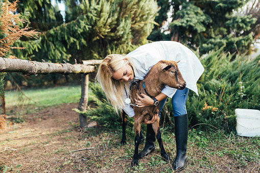 Woman veterinarian and goat