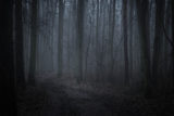 Dark foggy forest in twilight
