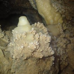 jaskyna nitra