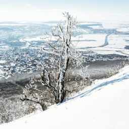 sneh-nitra-mesto-odhrnace-doprava-cesty-gettyimages.jpg