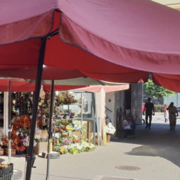 Mestská tržnica v Nitre
