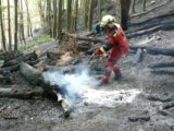 Ilustr hasici poziar v lese.jpg