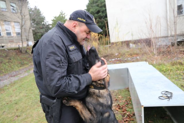 Policajný pes Lasan v Nitre