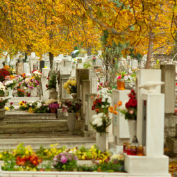 Mestský cintorín v Nitre