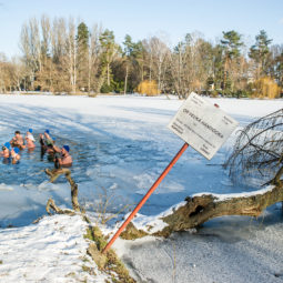 Otužovanie sa v zimnom období v jazere Veľká Hangócka v nitrianskom mestskom parku. Nitra, 17. január 2021.
