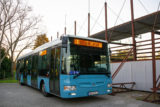 Autobus novy dopravca mhd nitra.jpg
