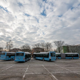 Prehliadka 15. nových autobusov vyrobených SOR Libchavy v Českej republike za účasti primátora Nitry na parkovisku pred výstaviskom Agrokomplex v Nitre. Autobusy dopravcu Transdev Morava budú fungovať od 1. januára 2022 pre nitriansku mestskú hromadnú dopravu (MHD). Nitra, 7. december 2021.