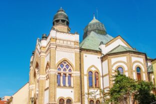 Synagoga nitra program