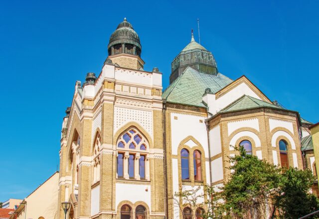 Synagoga nitra program
