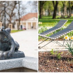 Kolaz nitra park otvorenie.jpg