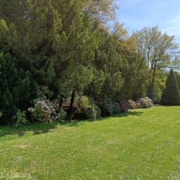 Arboretum 9.jpg