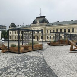 Img_1813.jpeg