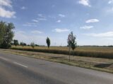 Img_1952.jpg