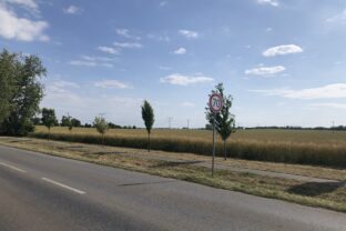 Img_1952.jpg