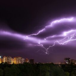 Pexels zvolskiy 1576369.jpg