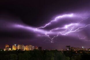Pexels zvolskiy 1576369.jpg