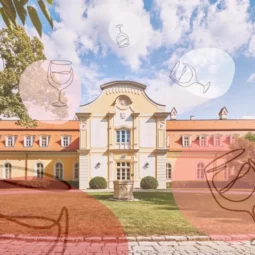 Nevinne o vine chateau bela web 1.webp