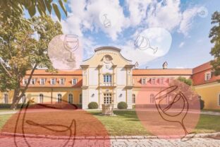 Nevinne o vine chateau bela web 1.jpg
