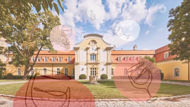 Nevinne o vine chateau bela web 1.jpg