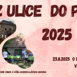 Z ulice do pivnice 2025 nahlad.jpg