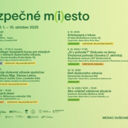 Program ipcko 1.jpg