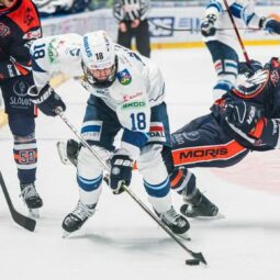 Fb_img_1734116356009 e1738655530441.jpg