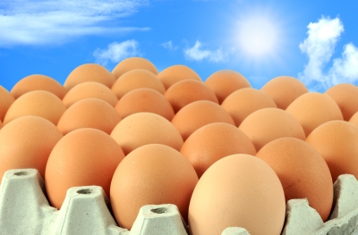Vtáčia chrípka by nemala mať vplyv na náš trh s vajcami