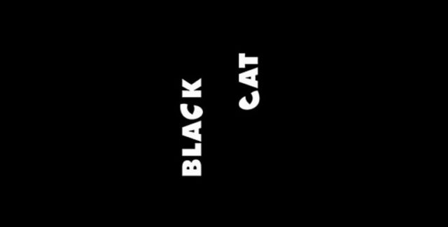 Black_cat.jpg