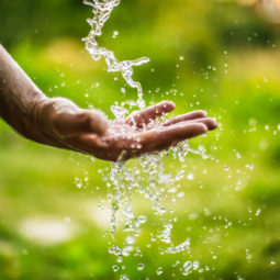 Voda, život, príroda, ruka