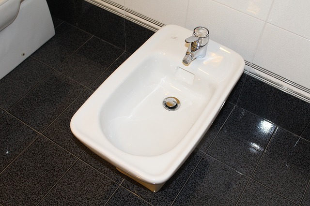 Bidet.jpg